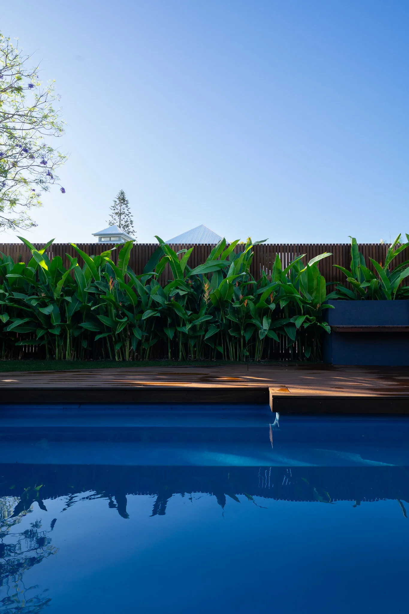 A pool, timber deck and heliconia screening against a clear morning sky