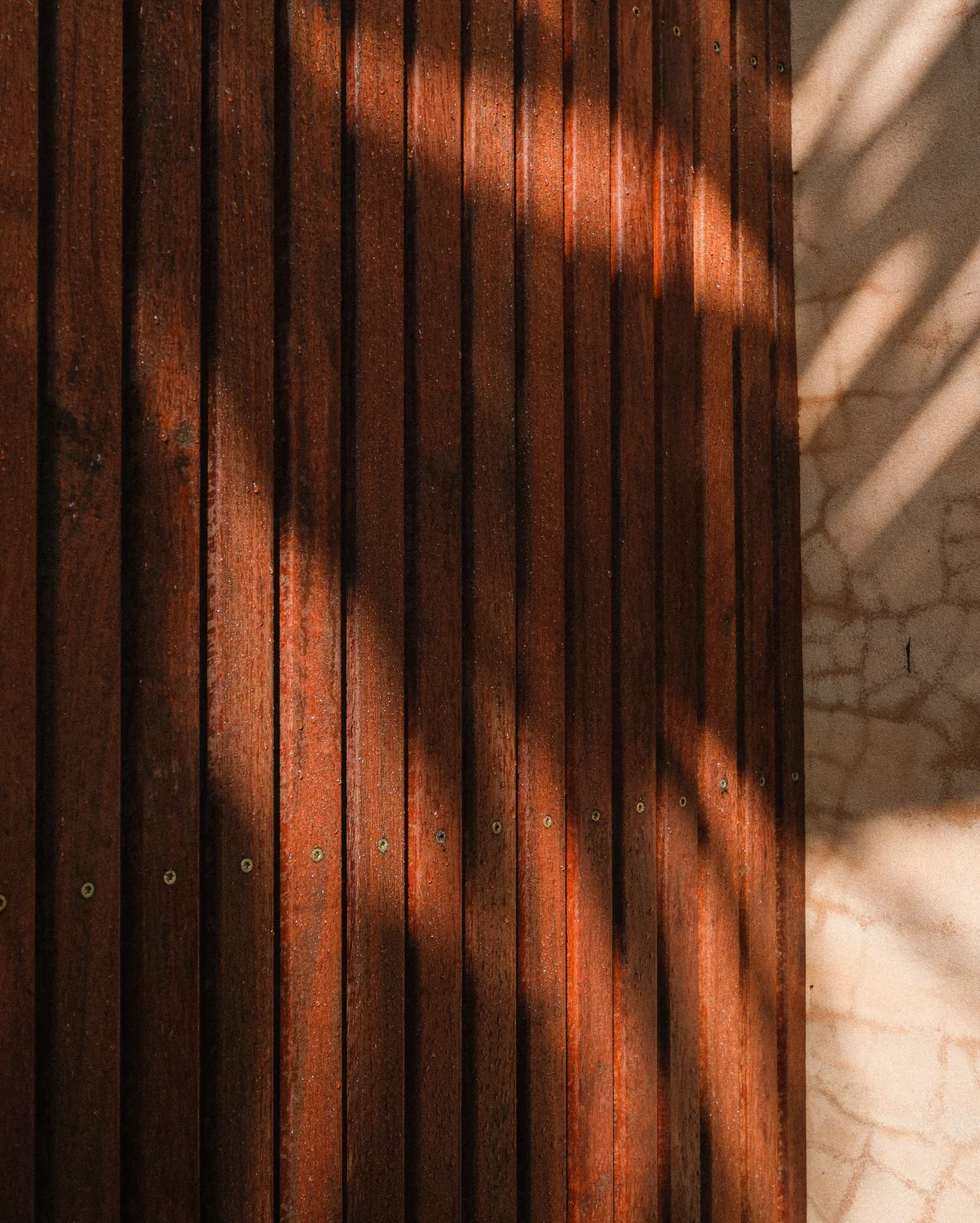 A hardwood batten screen in afternoon light